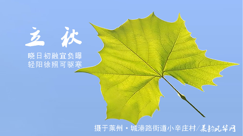 璀璨的莱州民俗文化——立秋 第 7 张