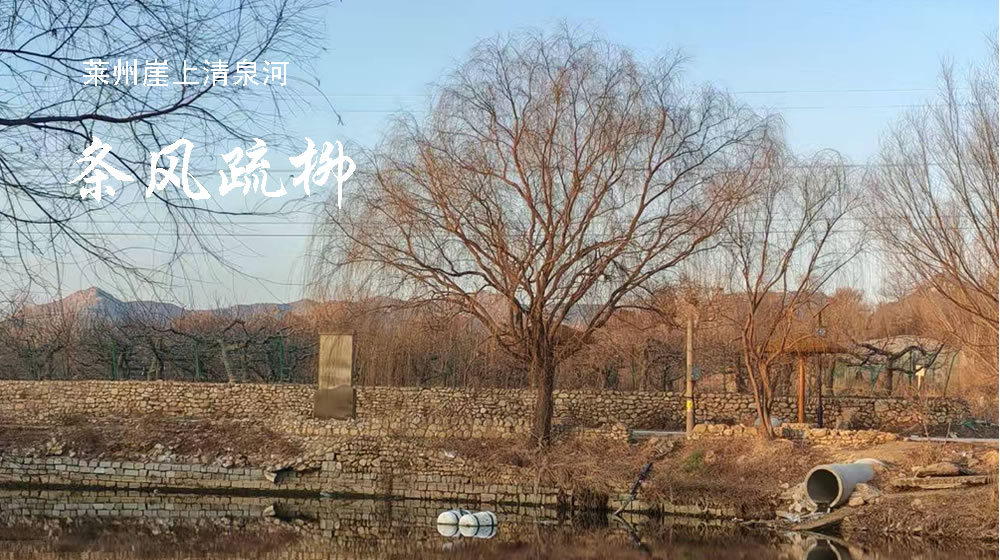 咏春词四首 第 2 张