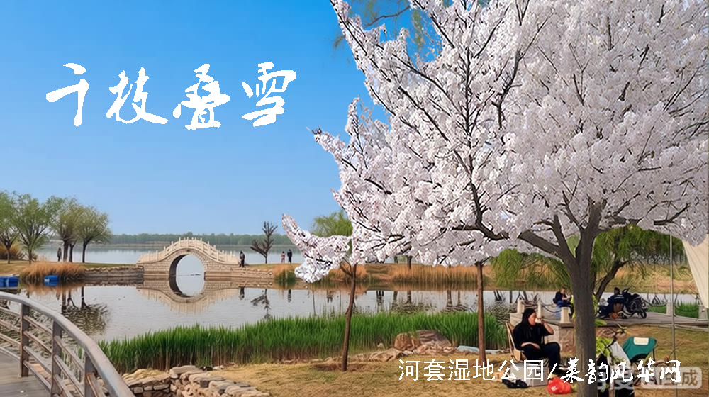 诗词三首•樱花吟 第 3 张