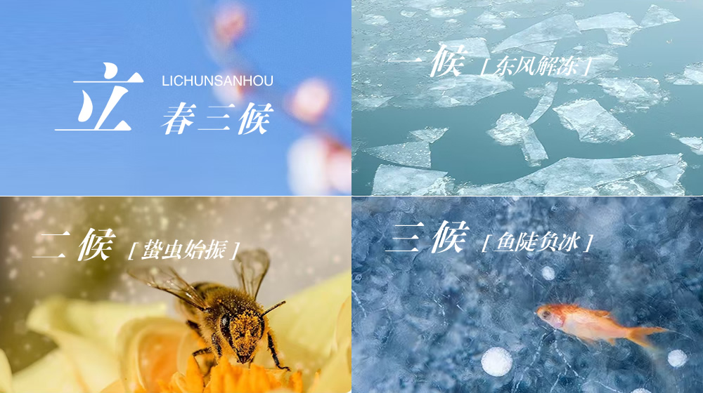 璀璨的莱州民俗文化——立春 第 7 张