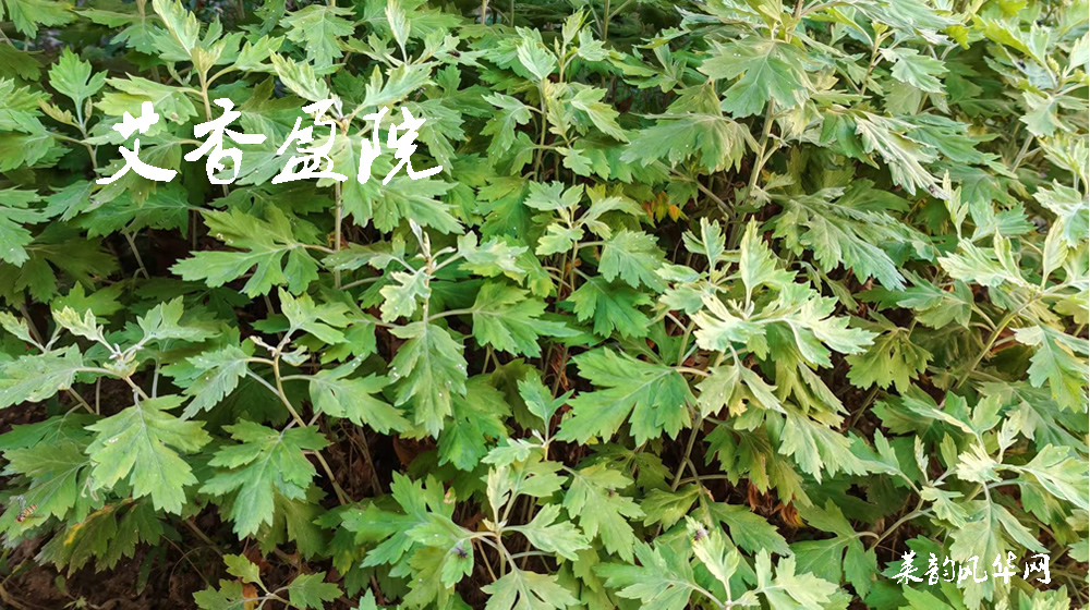 诗词七首•端午节 第 4 张