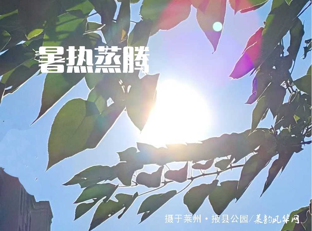 伏天品清汤，顺时度炎夏 —— 四款家常夏日养生汤膳制法 第 1 张