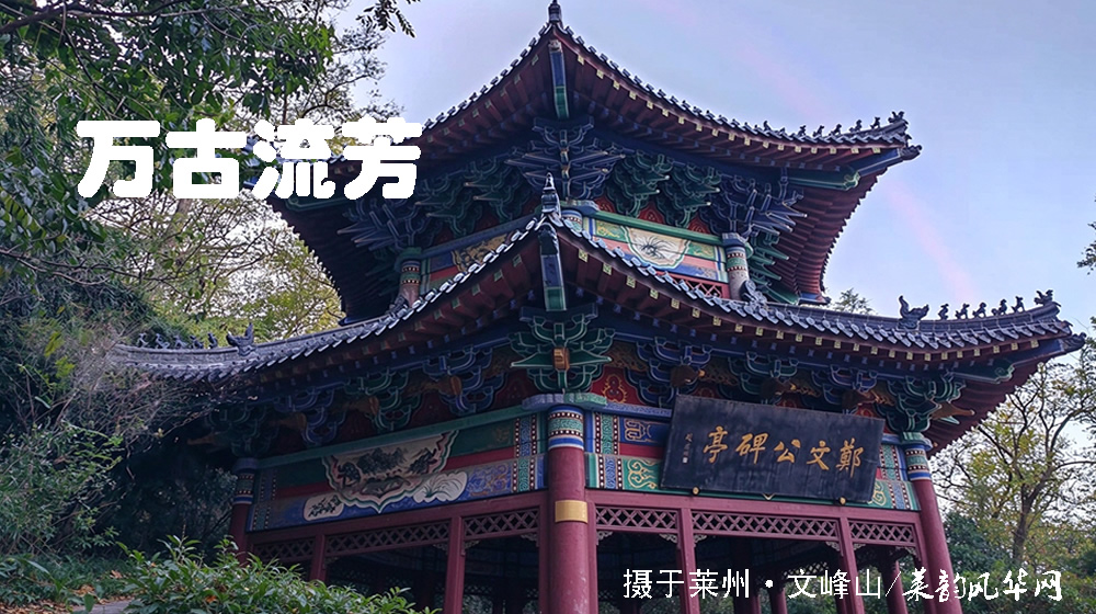 诗词十二首•感怀重阳 第 5 张