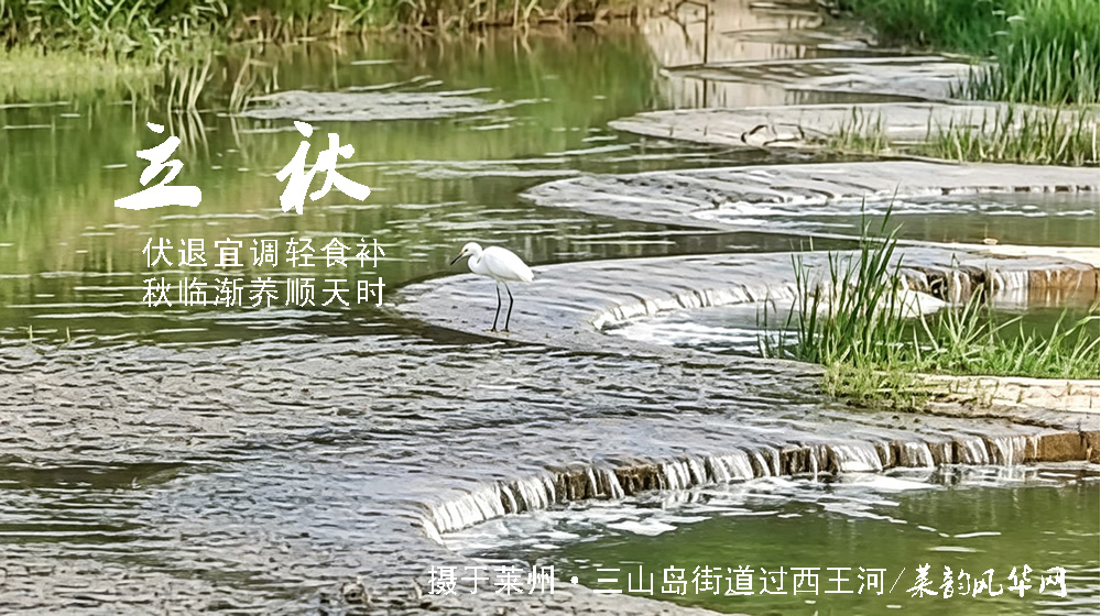 璀璨的莱州民俗文化——立秋 第 6 张