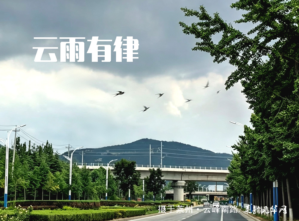 莱邑农谚解密（七）：燕子低飞蛇过道，蚂蚁搬家蛤蟆叫，不久大雨要来到 第 2 张