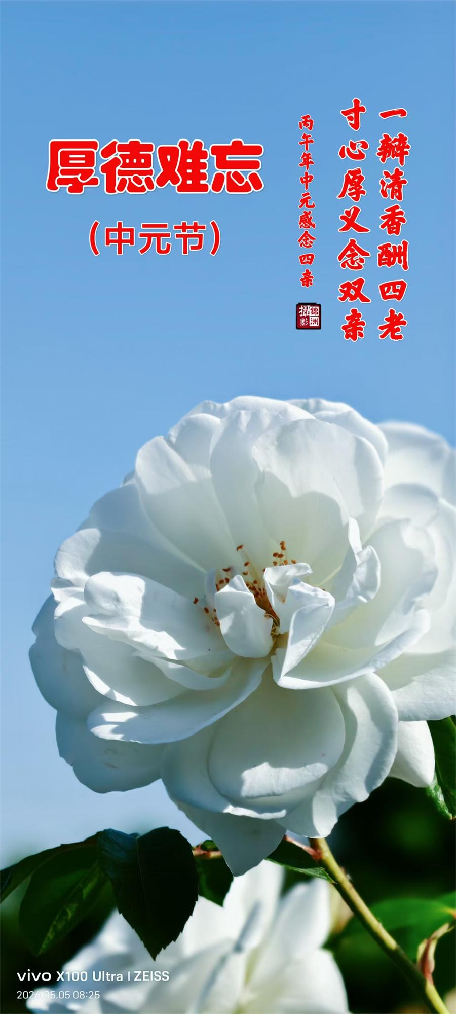 璀璨的莱州民俗文化——中元节 第 1 张