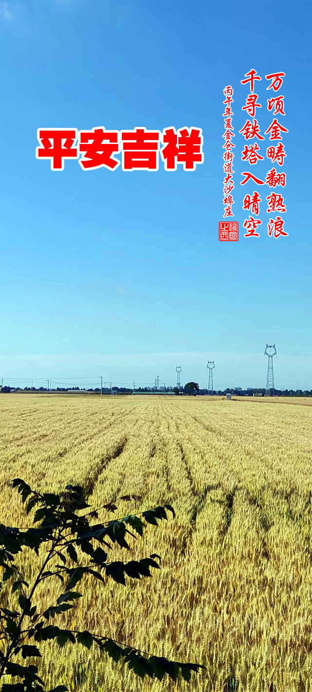 过国之西摄影作品选：美丽的田野 第 2 张