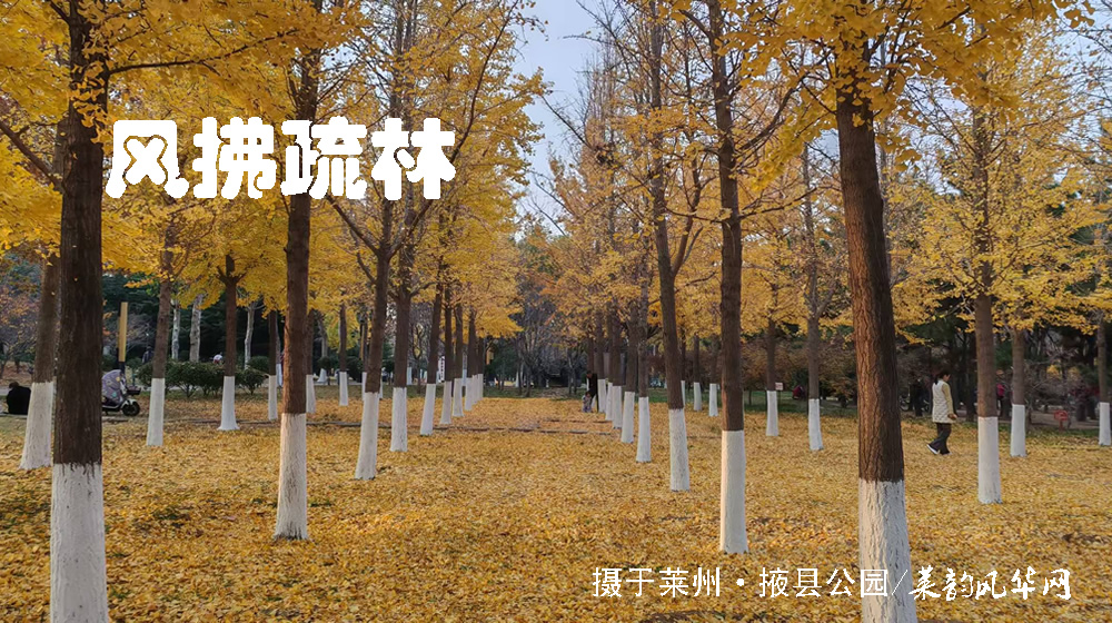 诗词八首·霜降 第 4 张