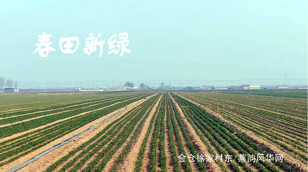 律诗三首•惊蛰 第 2 张