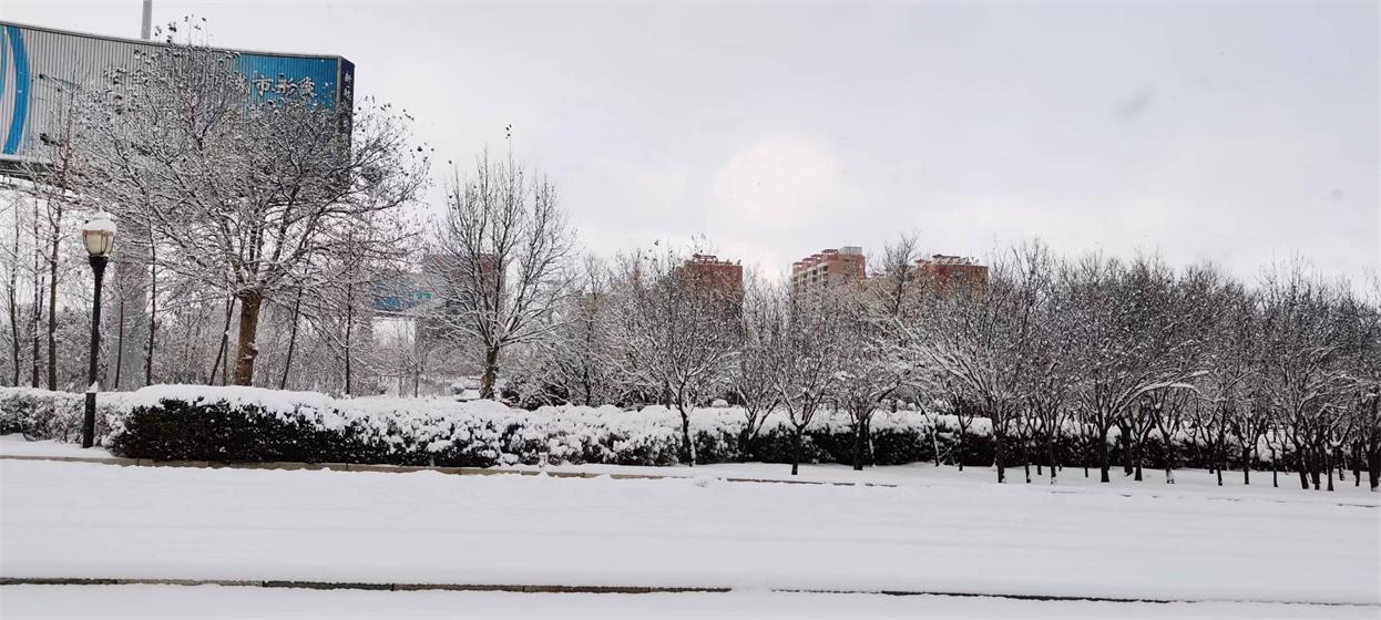 一七令•雪 第 2 张