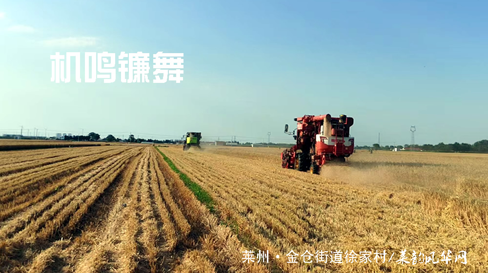 七绝•莱州三夏 第 1 张
