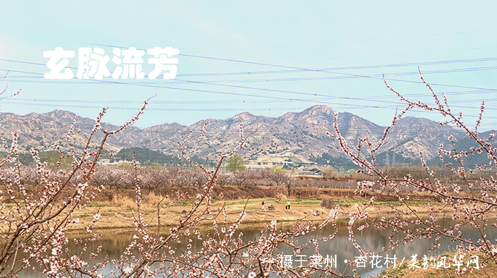 莱州三大千年文化地标赋 第 6 张