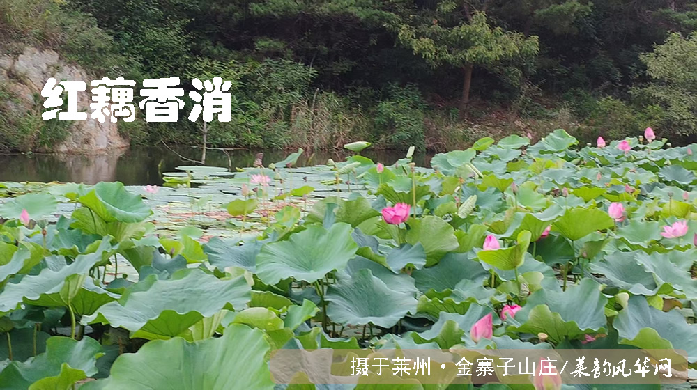 律诗五首•白露秋影 第 4 张