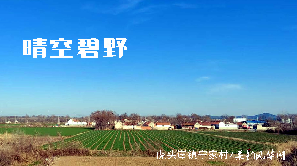 诗词三首•春韵 第 3 张