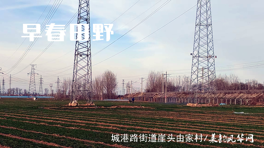 诗词四首•咏春 第 4 张
