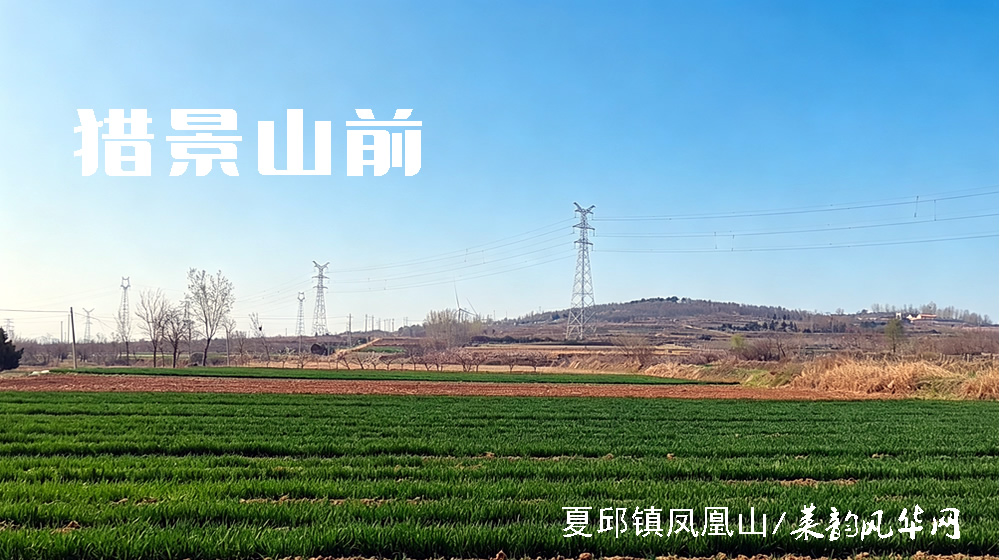 律诗四首•游春 第 1 张