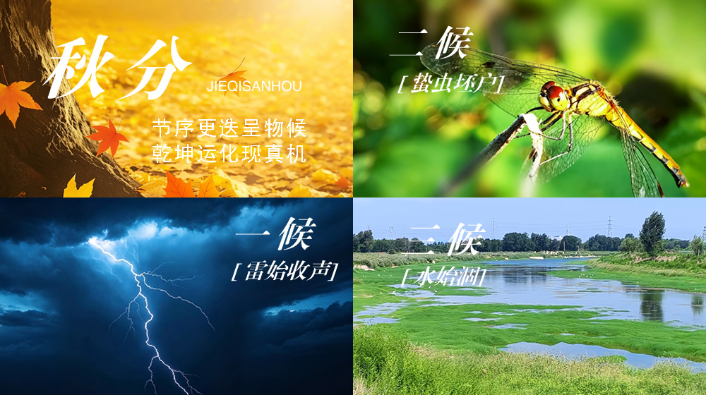 璀璨的莱州民俗文化——秋分 第 6 张
