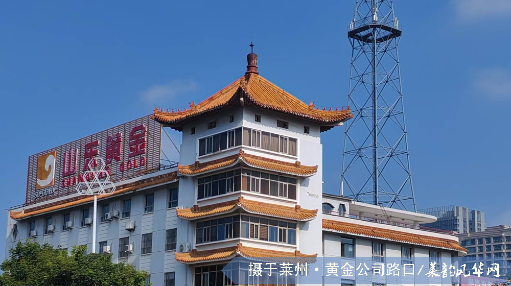 金脉筑楼，掖邑新姿 —— 莱州市黄金公司大楼建筑品读 第 3 张