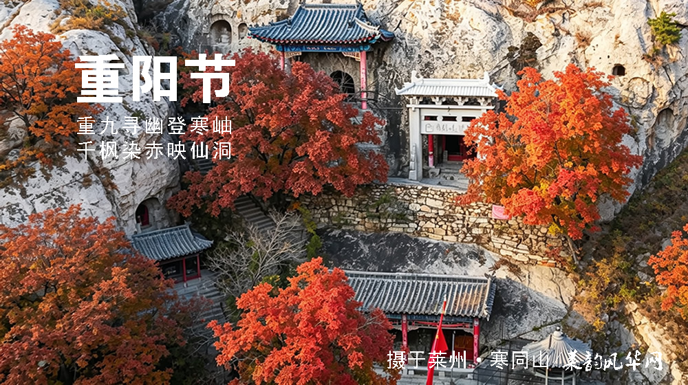 璀璨的莱州民俗文化——重阳节 第 5 张