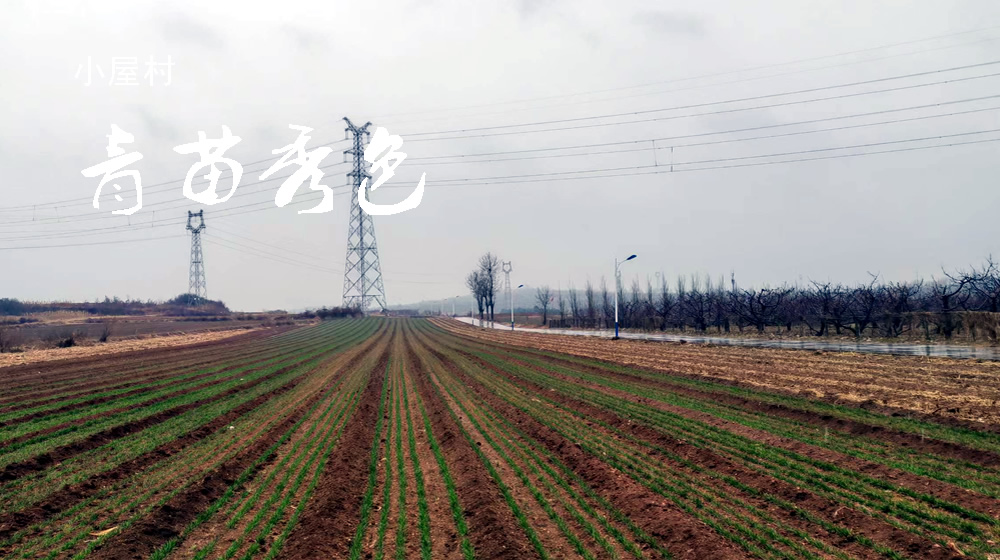 绝句三首：春雨 第 2 张