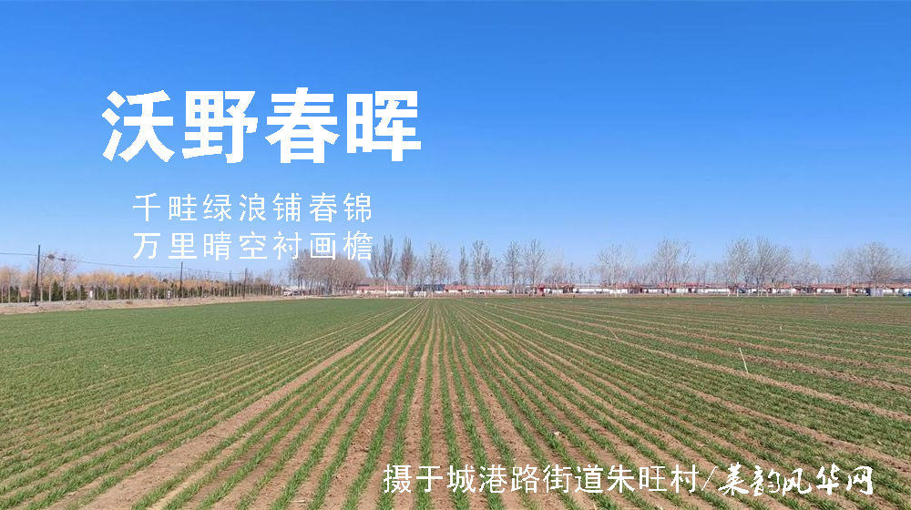 璀璨的莱州民俗文化——麦子生日 第 2 张