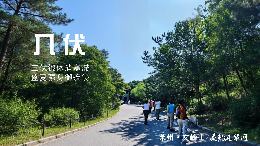 璀璨的莱州民俗文化——入伏 第 5 张