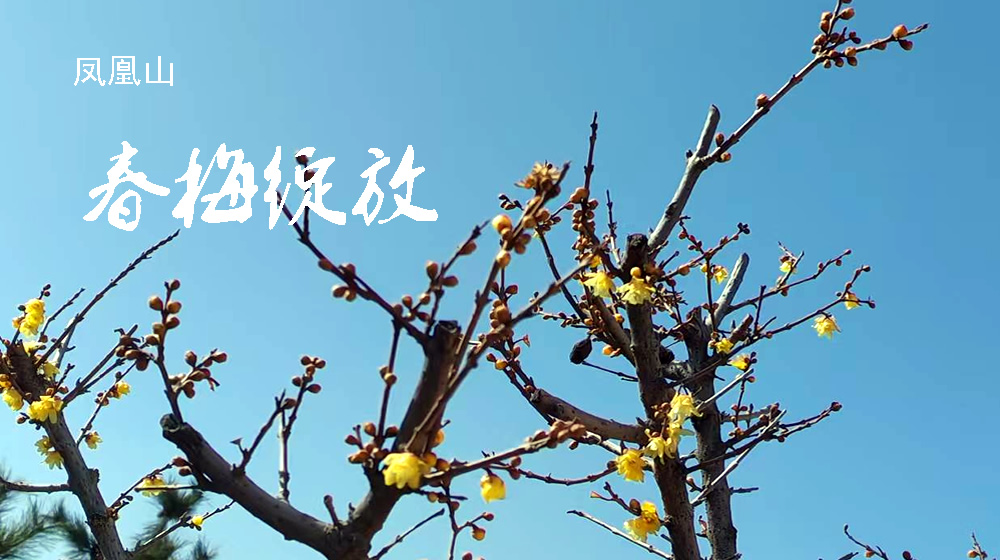 绝句三首：春雨 第 1 张