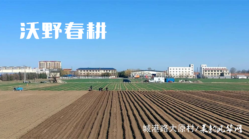 ​一七令•春 第 1 张