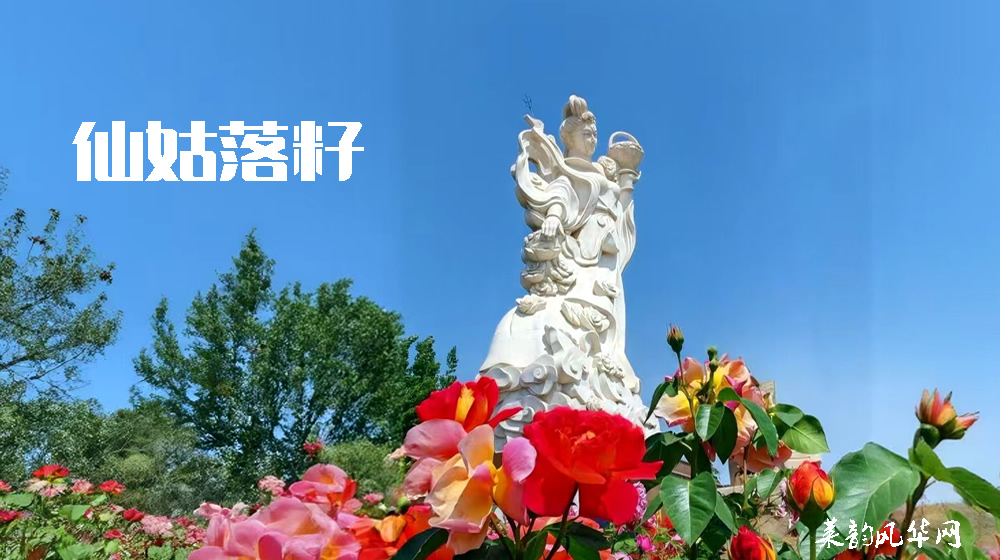 绝句四首•咏月季 第 2 张
