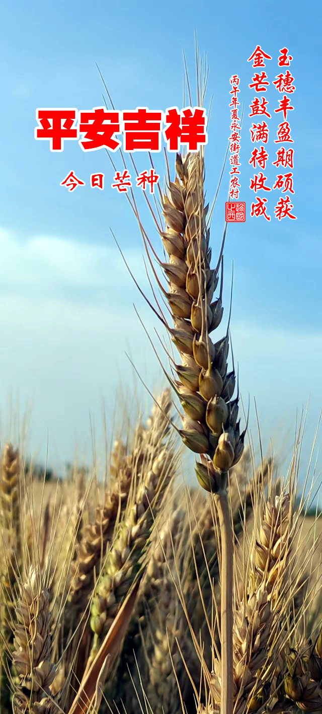 过国之西摄影作品选：美丽的田野 第 1 张