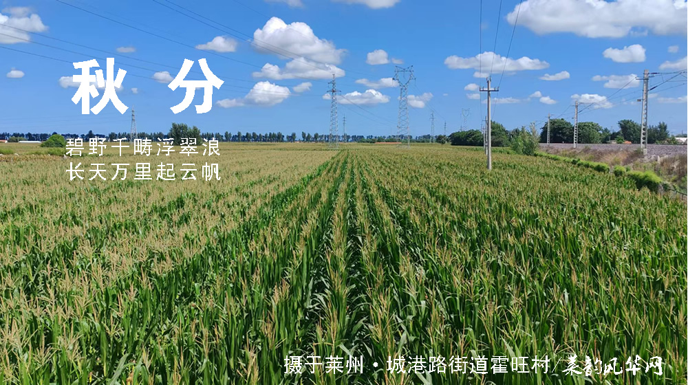 璀璨的莱州民俗文化——秋分 第 5 张