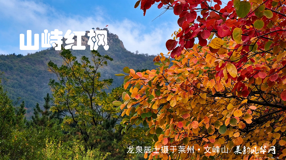 诗词八首·霜降 第 8 张