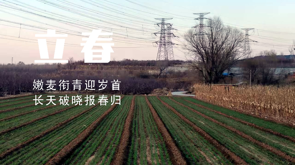 璀璨的莱州民俗文化——立春 第 4 张