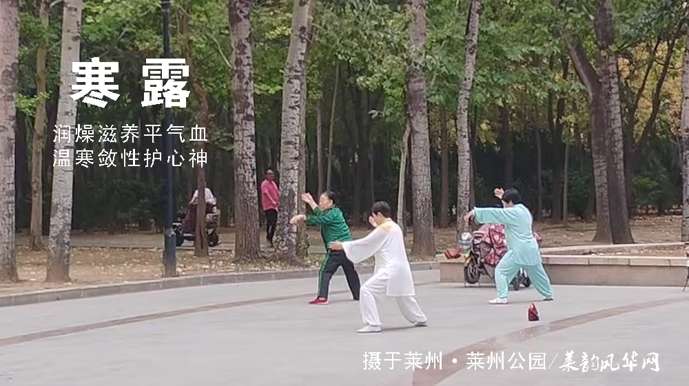 璀璨的莱州民俗文化——寒露 第 5 张