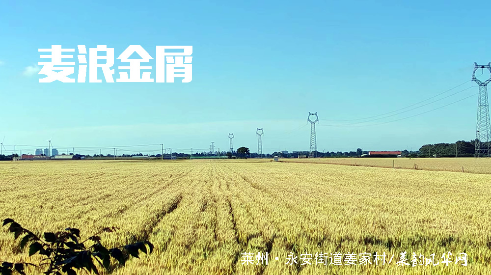 诗词五首•芒种 第 5 张