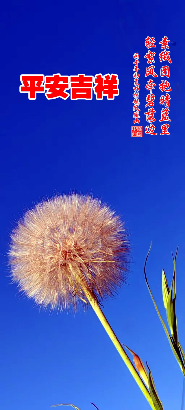 过国之西摄影作品选：山野花韵 第 2 张