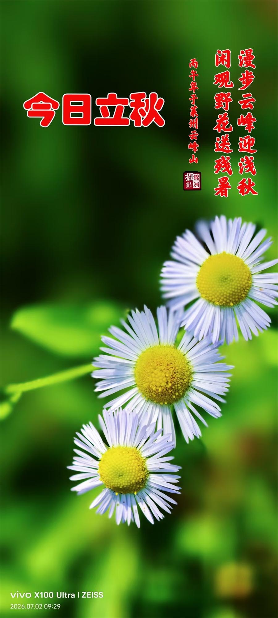 璀璨的莱州民俗文化——立秋 第 1 张