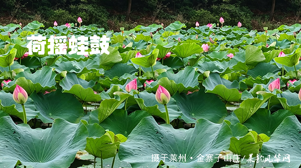 诗词四首·秋韵 第 2 张