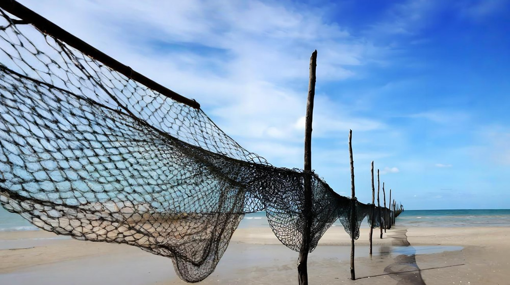 璀璨的莱州民俗文化——元宵节 第 5 张