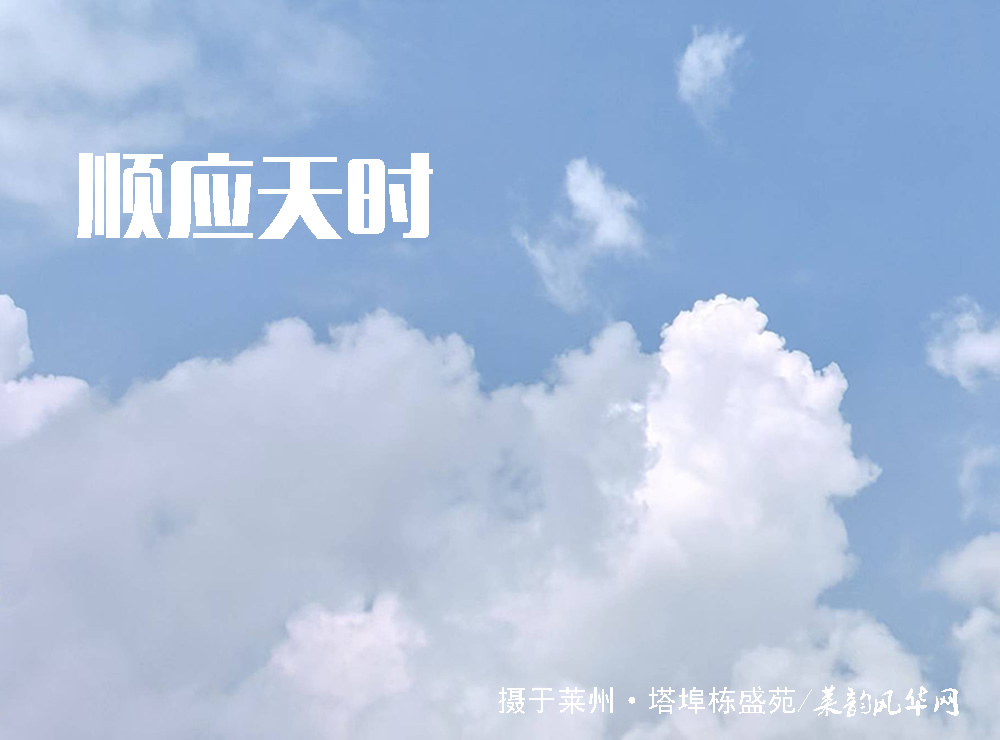伏天品清汤，顺时度炎夏 —— 四款家常夏日养生汤膳制法 第 6 张