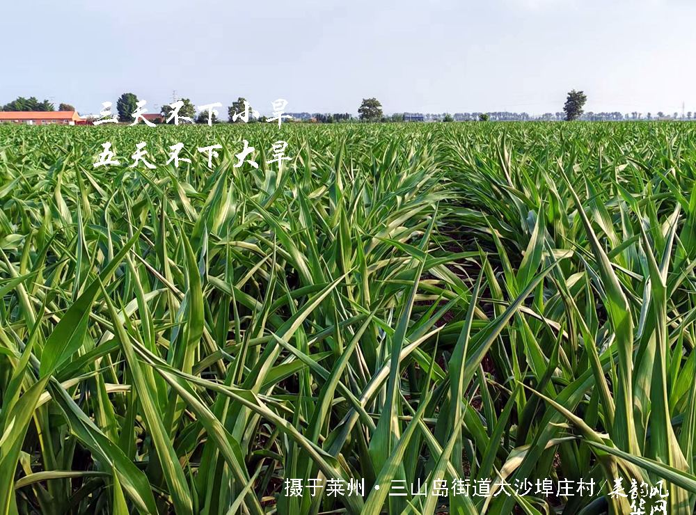 掖邑农谚藏天时，乡土老话识阴晴 第 10 张