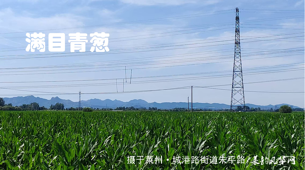 诗词四首•莱邑夏韵 第 1 张