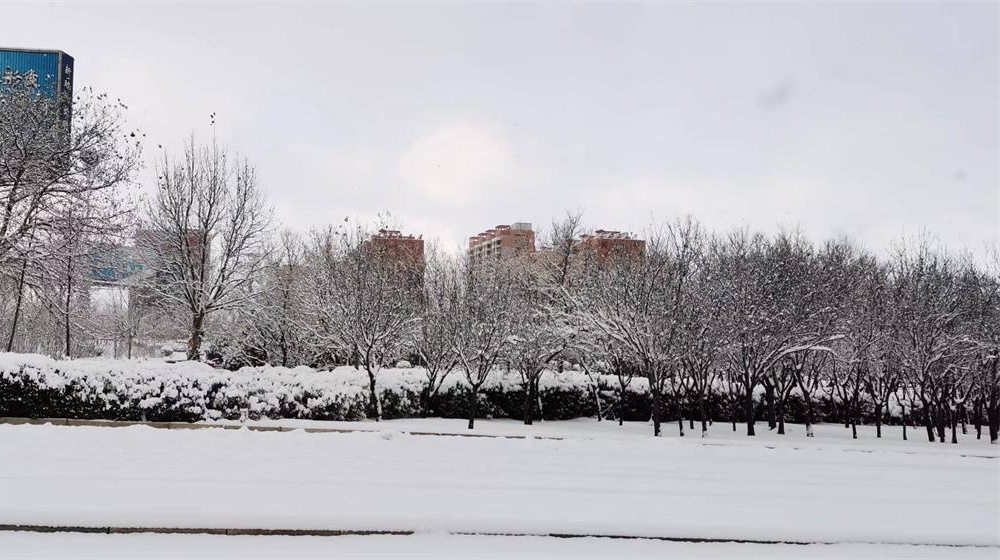 《大雪》诗五首 第 5 张