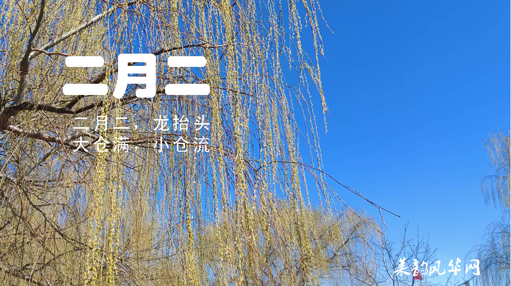 璀璨的莱州民俗文化——春分逢二月二 双节同庆 第 4 张