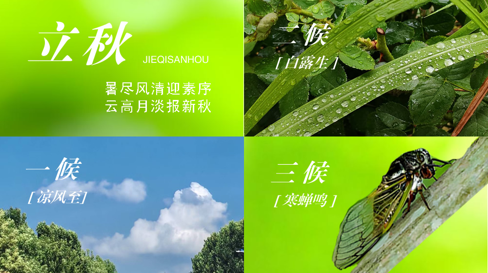 璀璨的莱州民俗文化——立秋 第 2 张