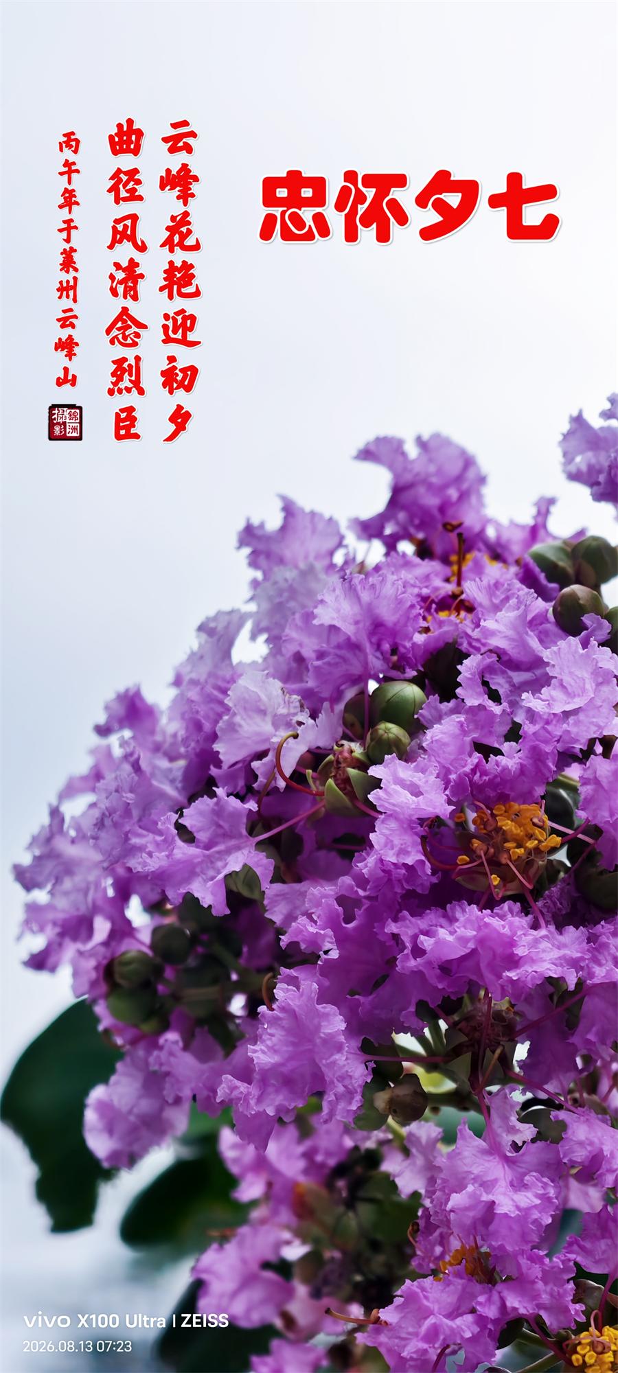 璀璨的莱州民俗文化——七夕节 第 1 张