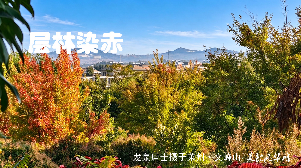 诗词八首·霜降 第 6 张