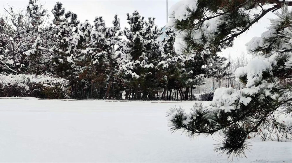 《大雪》诗五首 第 1 张