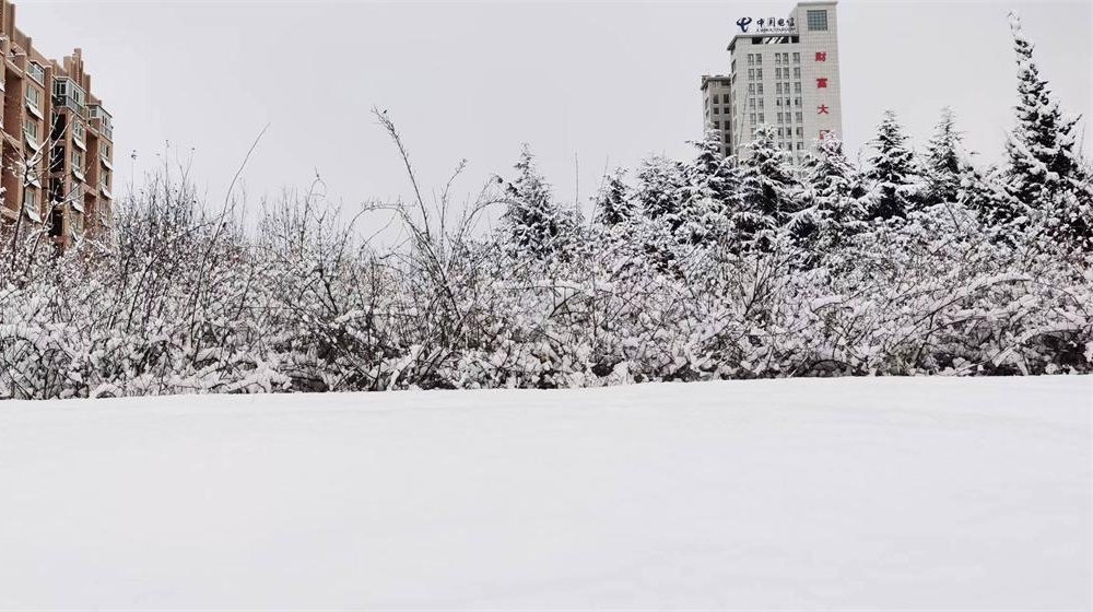《大雪》诗五首 第 3 张