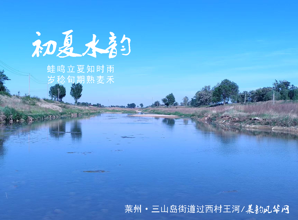 蛙鸣报夏时，俗谚藏农情——莱州乡间的麦收旧忆   第 2 张